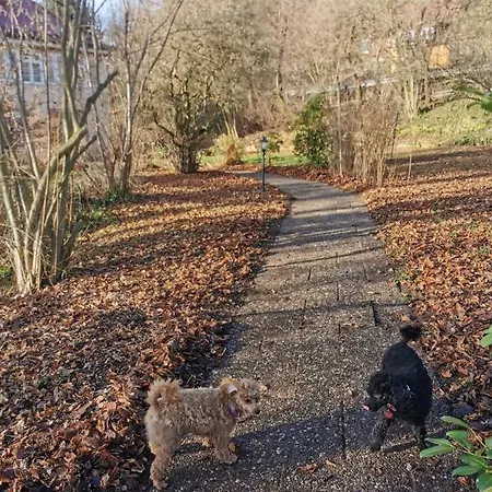 Konukevi Berghaus Figueiras Zum Teufelsberg 7 Rotenburg an der Fulda